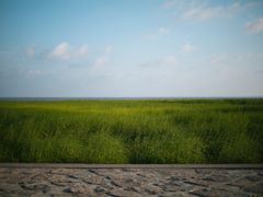 -南汇嘴观海公园