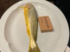 -黄鱼馆Jhouse(外滩店)