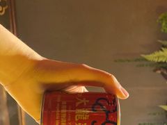 -大龙燚·旷野鲜火锅(广州首店)