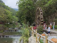 -广州白江湖森林公园