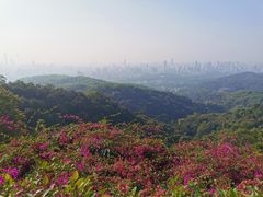 -白云山索道-售票处