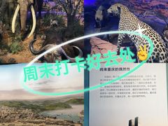-重庆自然博物馆(新馆)