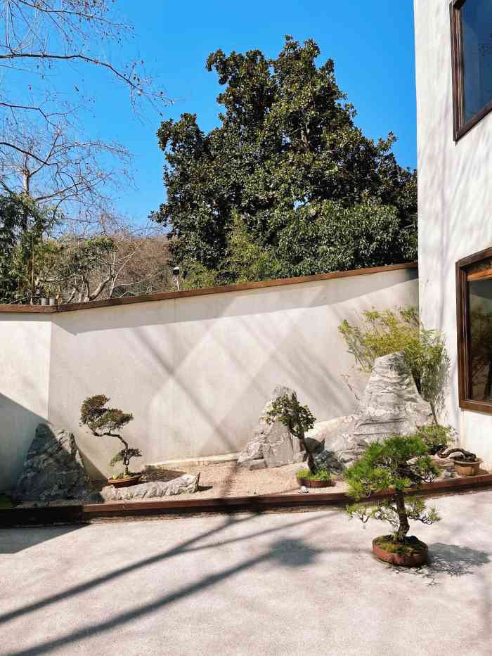 青竺·青竹茶舍(断桥店)-"本来想去一家老字号的茶馆,看看西湖喝喝茶.