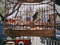 -汉唐宴长安食府