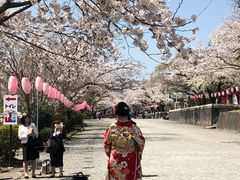 -富士山本宫浅间大社