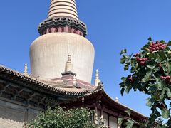 -张掖大佛寺景区