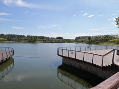 -东郊湿地公园
