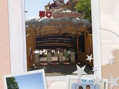 -重庆海昌加勒比海水世界