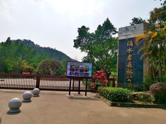 -滴水岩森林公园