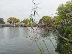 -无锡蠡湖国家湿地公园-蠡园