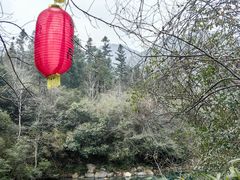-石台牯牛降景区
