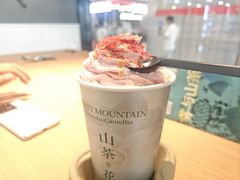 -雾与山茶(大禹城店)