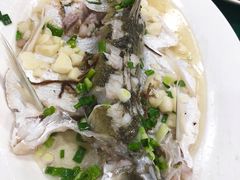 边鱼-叠石海边饭店