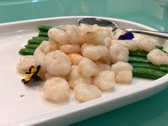 -雪园(南山街店)