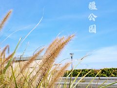 -东疆建设开发纪念公园
