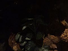 -泰之源足浴会所(玉环店)
