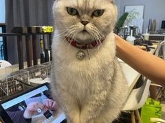 -Oasis绿洲银饰珍珠手作diy(壹方城店)