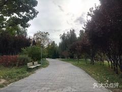 -望湖公园
