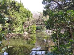 -叶家花园