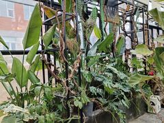 -北马山庄植趣咖啡
