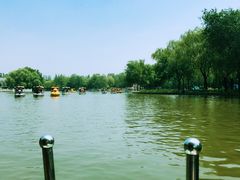 -朝阳公园游乐园