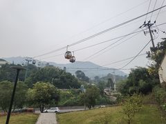 -洪霞餐馆