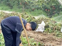 -大连北马山庄