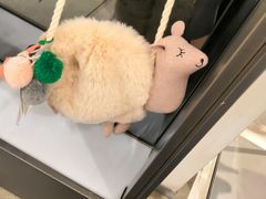 -ZARA(金安国际购物广场店)