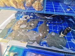 -香满居张记小厨私房菜(青岛站店)