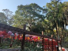 -深圳国际园林花卉博览园