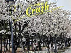 -上海海事大学(临港校区)