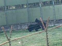 -宿豫区运河湾森林动物园