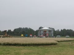 -日照海滨国家森林公园