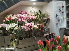 -植物学家的女儿(北马道巷店)