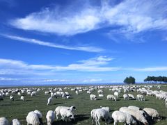 -青海湖国家重点风景名胜区