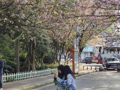 -甘棠公园