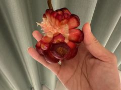 -曼阁市场水果批发市场