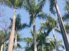 -广州动物园