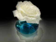 -孔雀川菜(万象天地店)