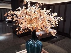 -浅深(北京北四环精品店)