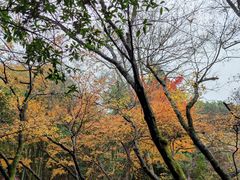 -莫干山风景区