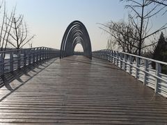 -大兴滨河森林公园