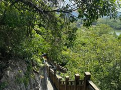 -南宁花花大世界景区