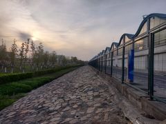 -鹦鹉洲湿地公园