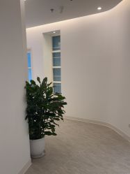 -天津伊美尔医疗整形美容专科医院