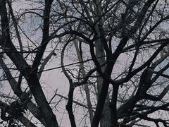-阿育王寺