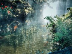 -Chom Cafe and Restaurant