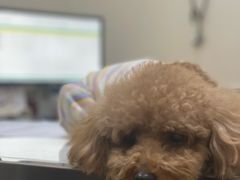 -爱妮康宠物医院·干细胞免疫细胞·肿瘤·心脏(张江店)