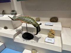-辽宁古生物博物馆