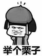 -2597披萨